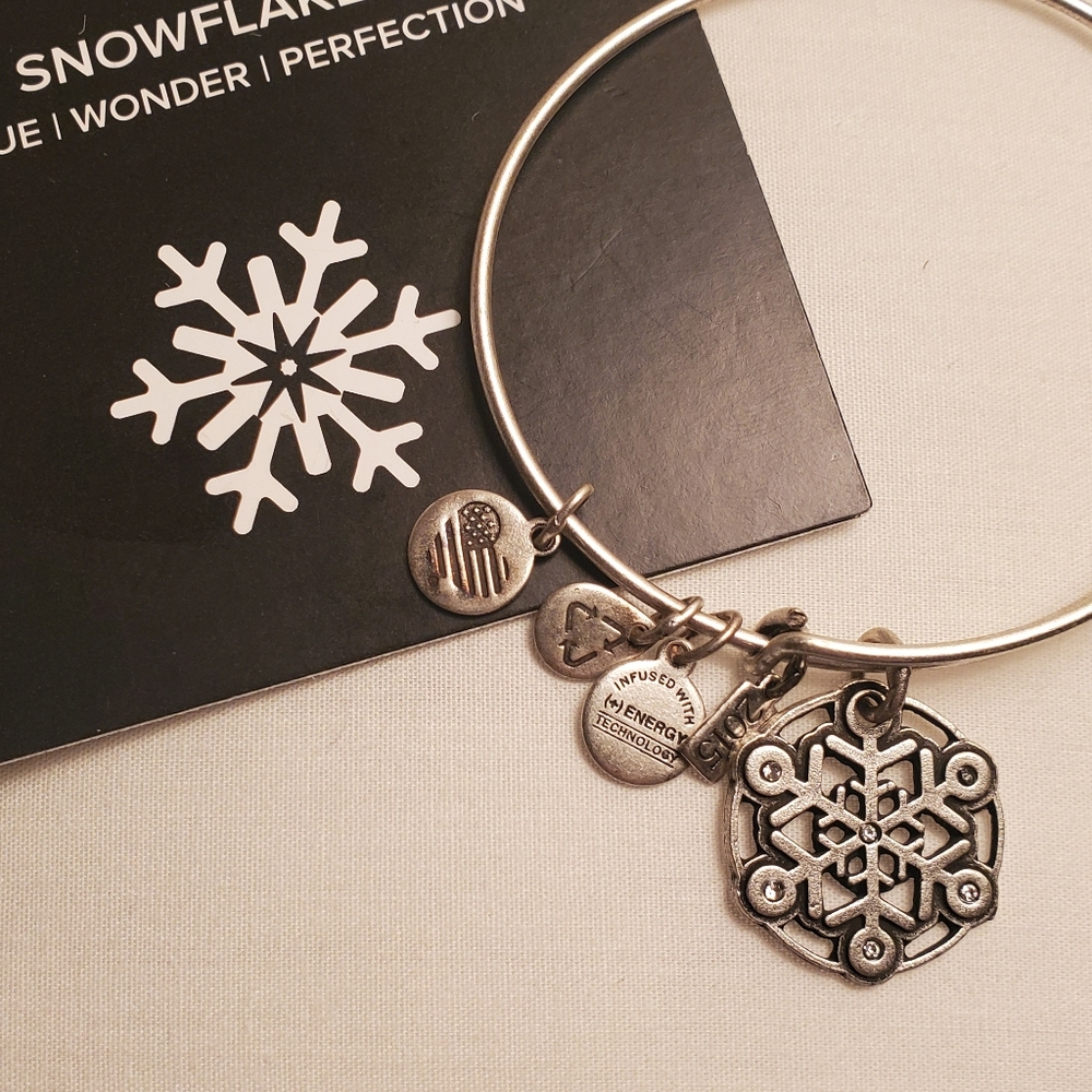 Alex and Ani bangle charm bracelet